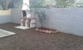 /album/galeria-de-fotos-fontes-de-agua/jardim-br-jpg1/